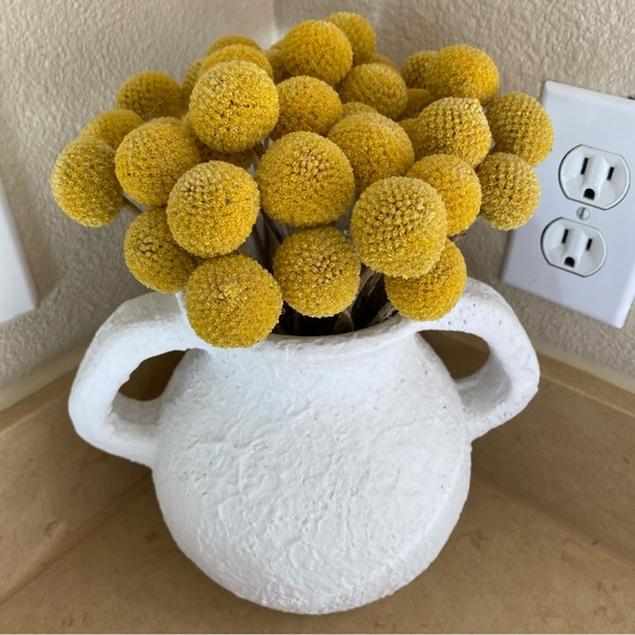 10 STEMS Dried Flowers Craspedia Billy Balls - Picture 3 of 11